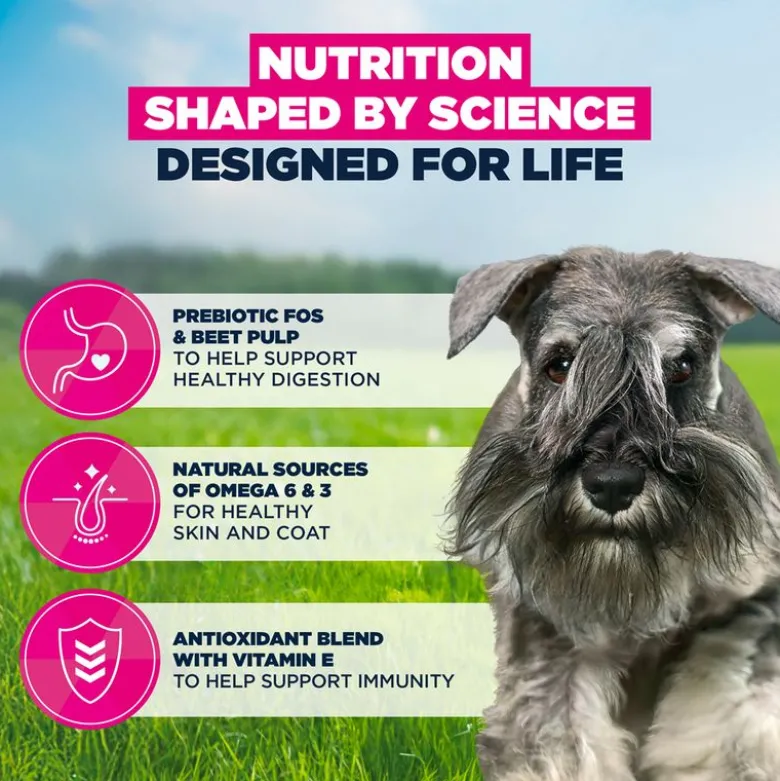Eukanuba Premium Nutrition Adult Small Breed kana