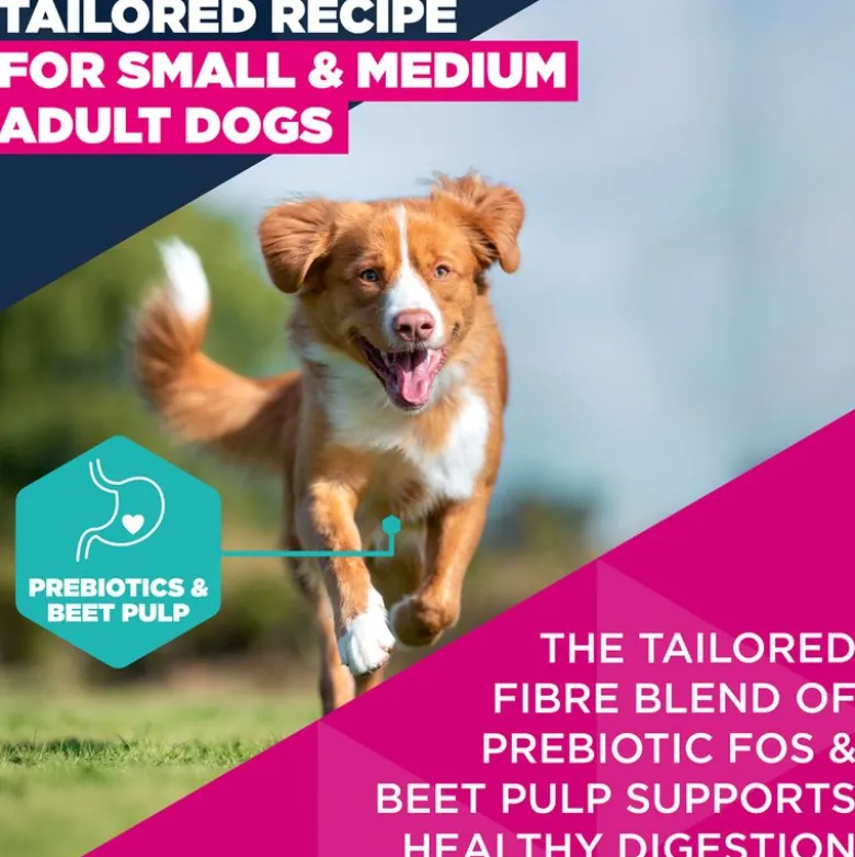 Eukanuba Premium Nutrition Adult Small & Medium Breed lohi