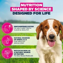 Eukanuba Premium Nutrition Adult Small & Medium Breed lohi