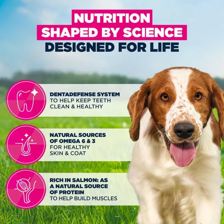 Eukanuba Premium Nutrition Adult Small & Medium Breed lohi