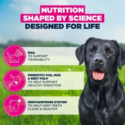 Eukanuba Premium Nutrition Junior Large & Giant Breed kana