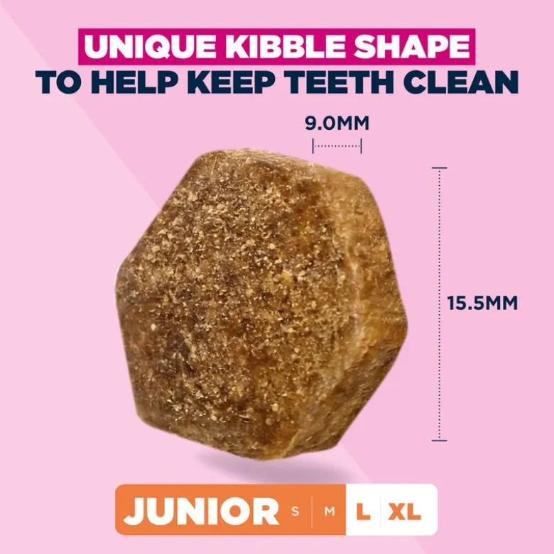 Eukanuba Premium Nutrition Junior Large & Giant Breed kana