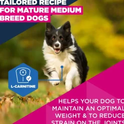 Eukanuba Premium Nutrition Mature Medium Breed kana