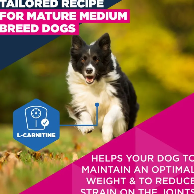 Eukanuba Premium Nutrition Mature Medium Breed kana