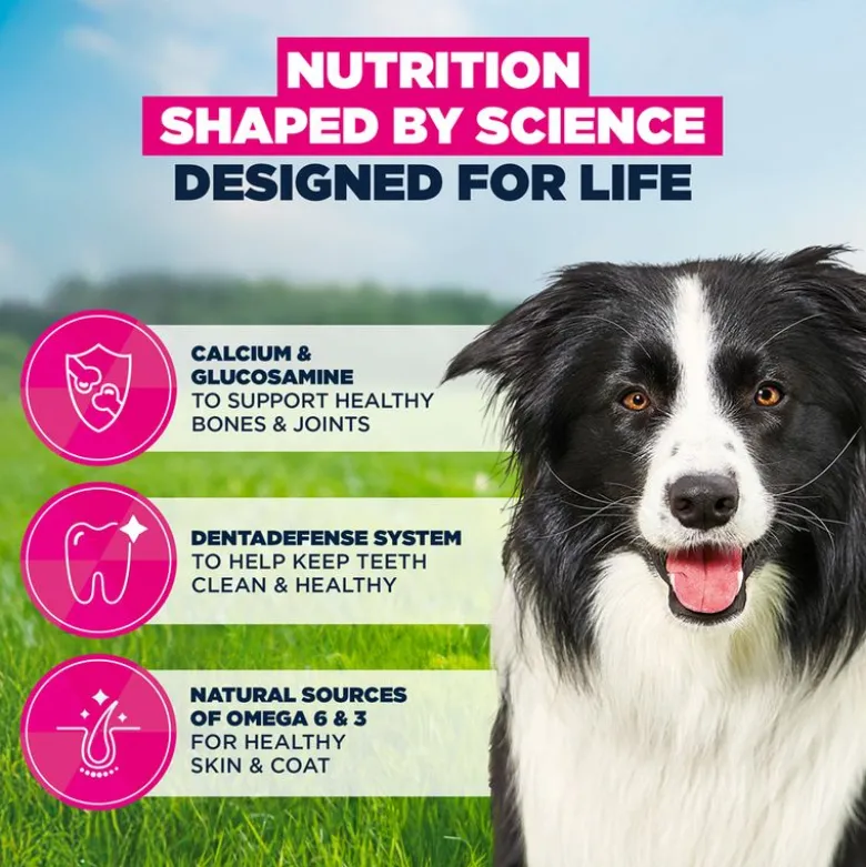 Eukanuba Premium Nutrition Mature Medium Breed kana