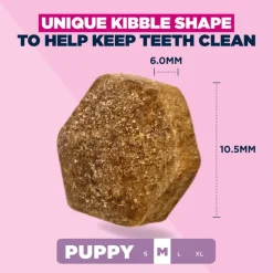 Eukanuba Premium Nutrition Puppy Medium Breed kana
