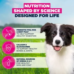 Eukanuba Premium Nutrition Puppy Medium Breed kana