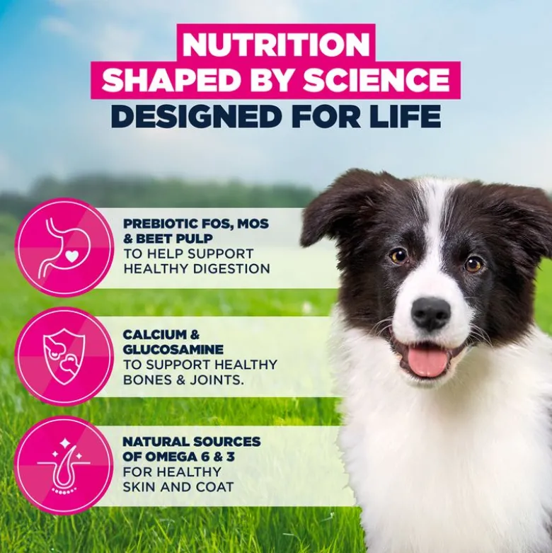 Eukanuba Premium Nutrition Puppy Medium Breed kana