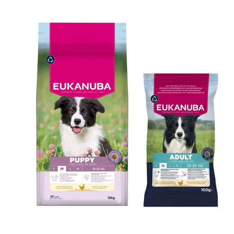 Eukanuba Premium Nutrition Puppy Medium Breed kana