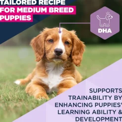 Eukanuba Premium Nutrition Puppy Medium Breed kana