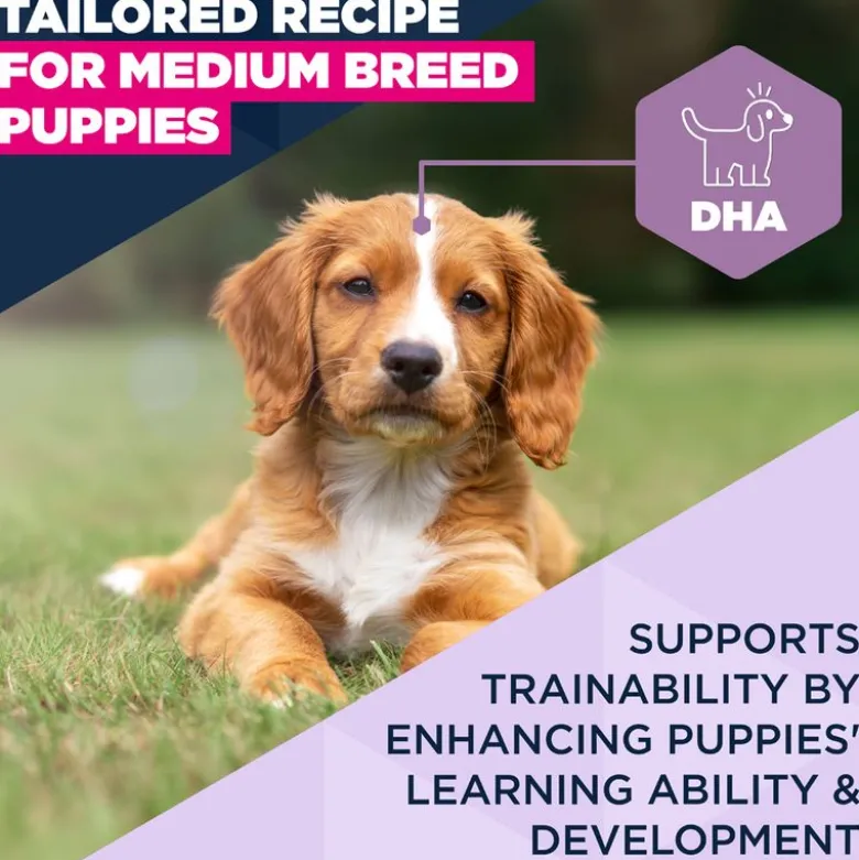 Eukanuba Premium Nutrition Puppy Medium Breed kana