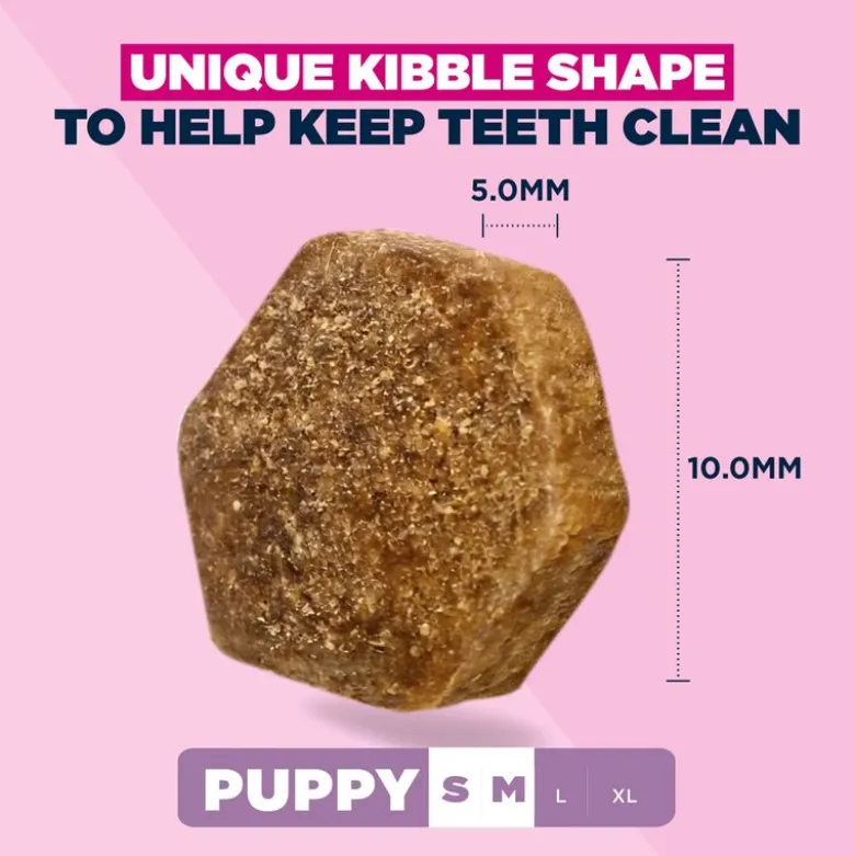 Eukanuba Premium Nutrition Puppy Small & Medium Breed karitsa & riisi