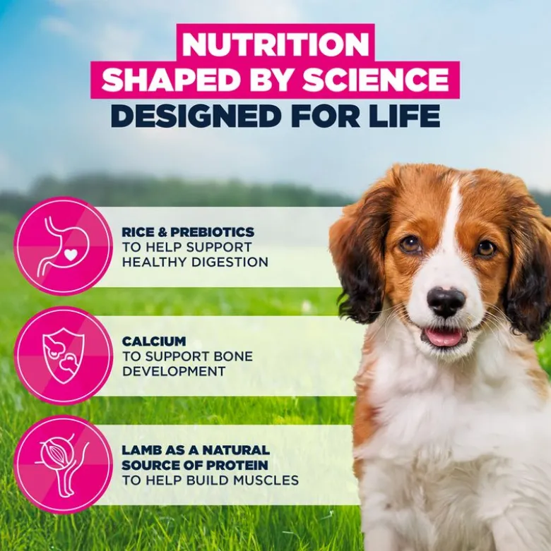Eukanuba Premium Nutrition Puppy Small & Medium Breed karitsa & riisi