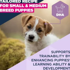 Eukanuba Premium Nutrition Puppy Small & Medium Breed karitsa & riisi