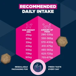 Eukanuba Premium Nutrition Senior Large & Giant Breed karitsa & riisi