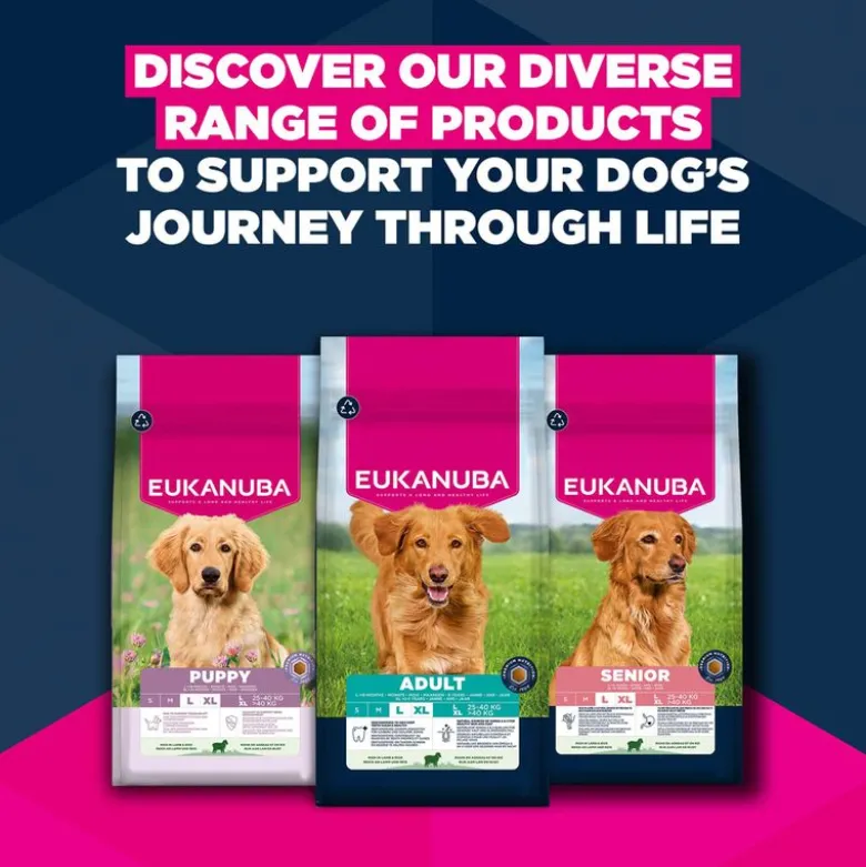 Eukanuba Premium Nutrition Senior Large & Giant Breed karitsa & riisi