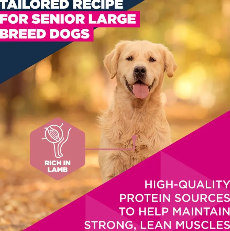 Eukanuba Premium Nutrition Senior Large & Giant Breed karitsa & riisi