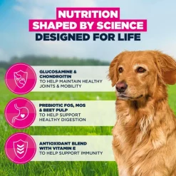 Eukanuba Premium Nutrition Senior Large & Giant Breed karitsa & riisi