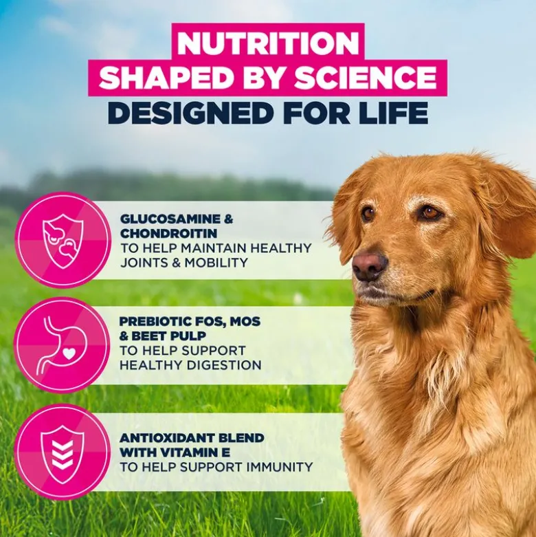 Eukanuba Premium Nutrition Senior Large & Giant Breed karitsa & riisi