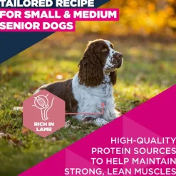 Eukanuba Premium Nutrition Senior Small & Medium Breed karitsa & riisi
