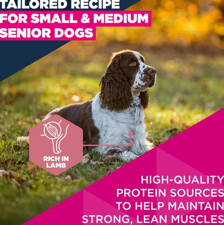 Eukanuba Premium Nutrition Senior Small & Medium Breed karitsa & riisi