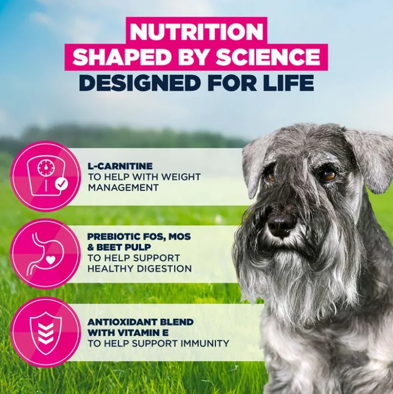Eukanuba Premium Nutrition Senior Small Breed kana