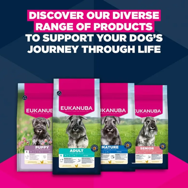 Eukanuba Premium Nutrition Senior Small Breed kana