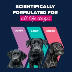 Eukanuba Puppy kalkkuna & porkkana
