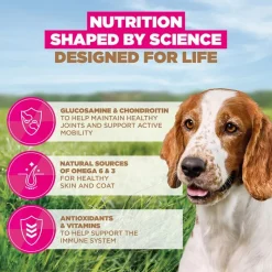 Eukanuba Senior Small & Medium Breed Grain Free merikala