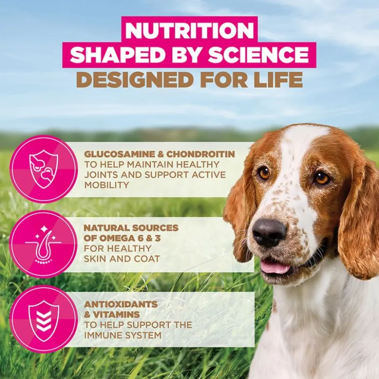 Eukanuba Senior Small & Medium Breed Grain Free merikala