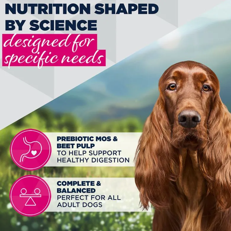 Eukanuba Special Care Adult Sensitive Digestion