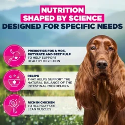 Eukanuba Special Care Sensitive Digestion Adult