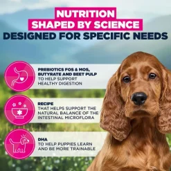 Eukanuba Special Care Sensitive Digestion Puppy kana ja kalkkuna