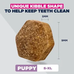 Eukanuba Special Care Sensitive Digestion Puppy kana ja kalkkuna