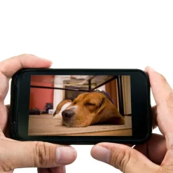 EYENIMAL PET VISION LIVE FULL HD -kamera