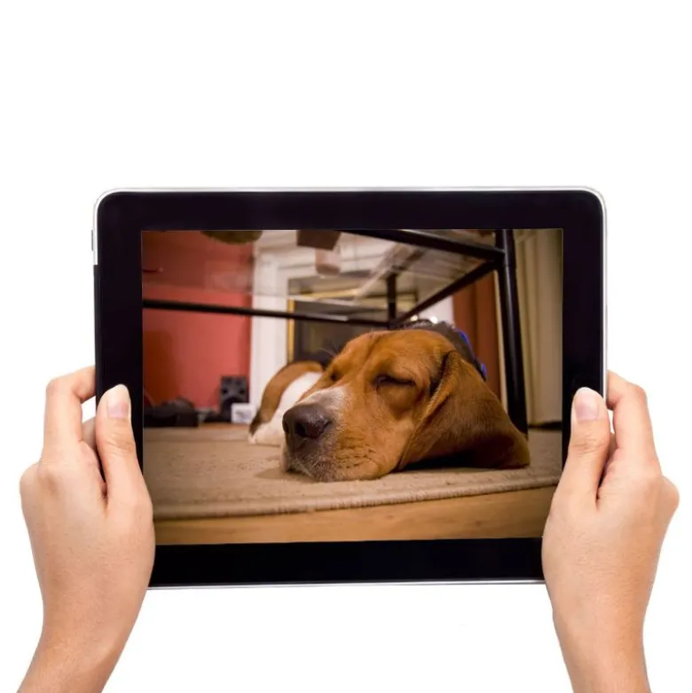 EYENIMAL PET VISION LIVE FULL HD -kamera
