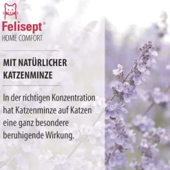 Felisept Home Comfort Set - kissan rauhoittamiseen