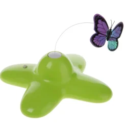 Funny Butterfly