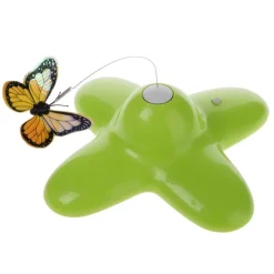 Funny Butterfly