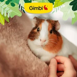 Gimborn-mallastahna