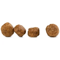 Happy Dog fit & vital Mini Adult