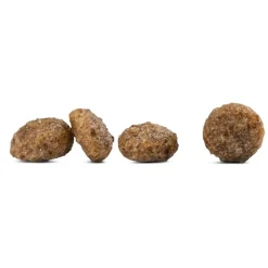 Happy Dog fit & vital Mini Puppy