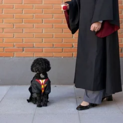 Harry Potter -koiranpuku