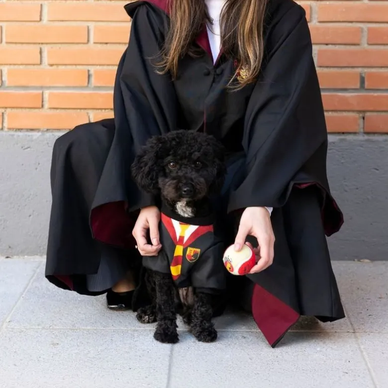 Harry Potter -koiranpuku
