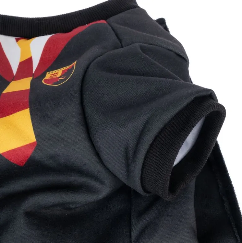 Harry Potter -koiranpuku