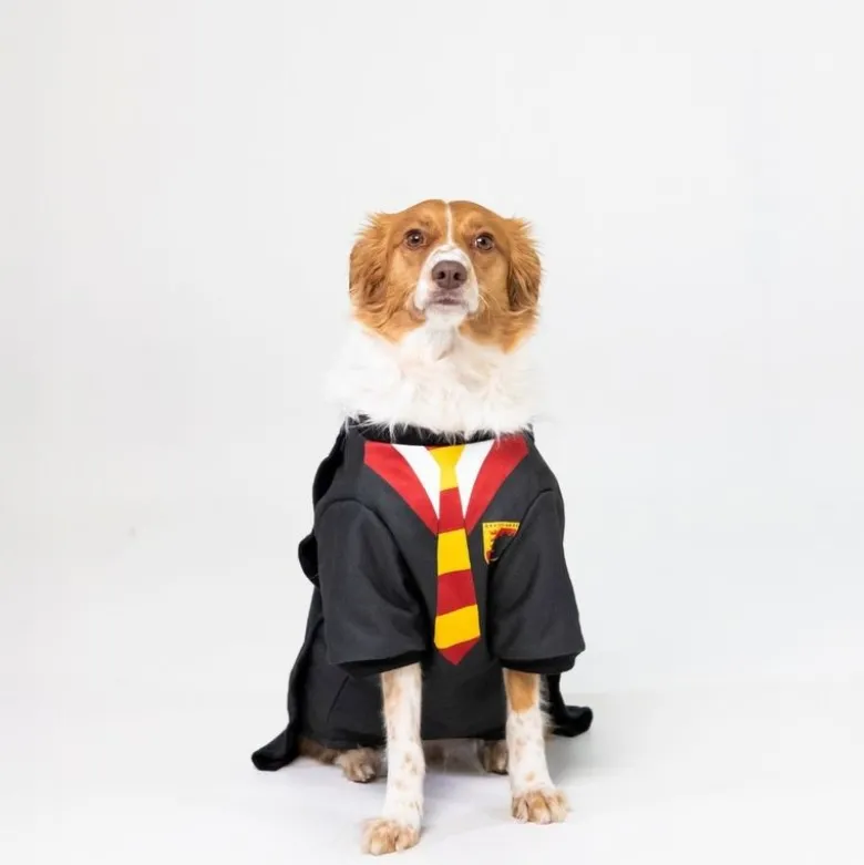 Harry Potter -koiranpuku