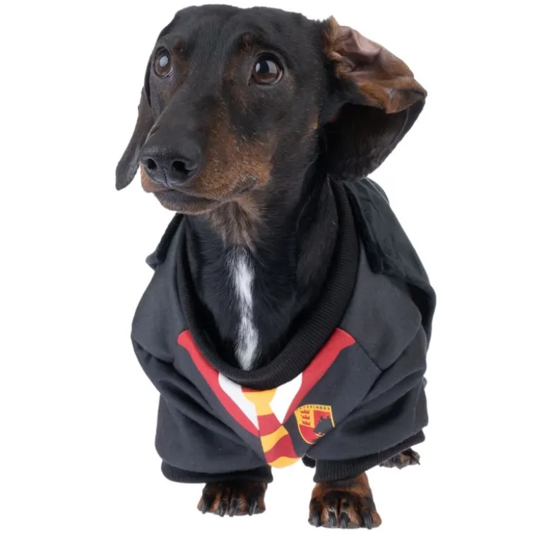 Harry Potter -koiranpuku