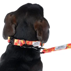 Harry Potter Rohkelikko -kaulapanta koiralle, oranssi