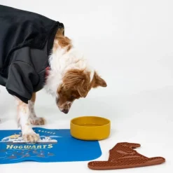 Harry Potter Tylypahka -kupinalusta