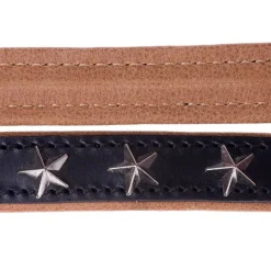 Heim Stars -talutushihna, 200 cm